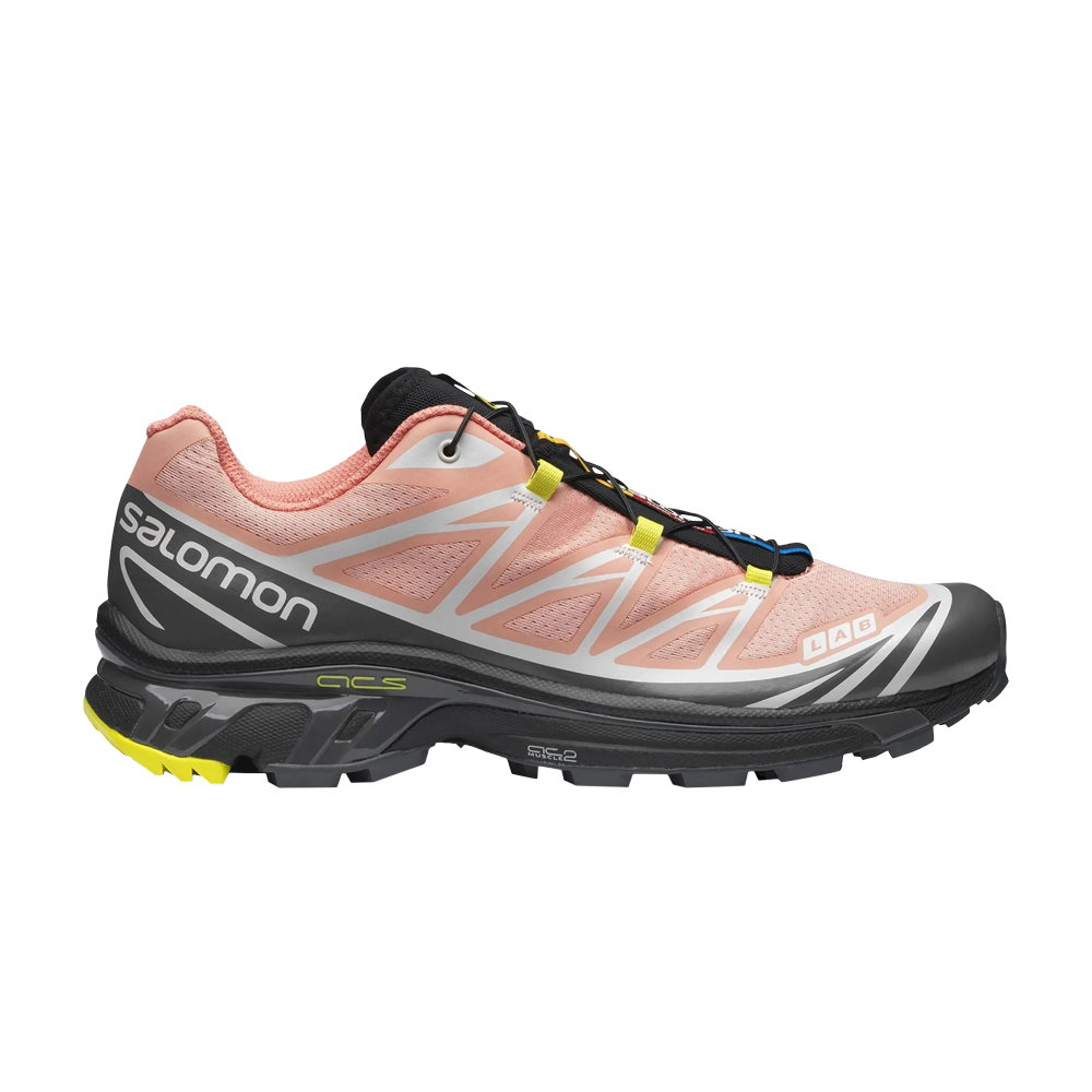 Pre-owned Salomon Xt-6 'blooming Dahlia Monument' In Pink