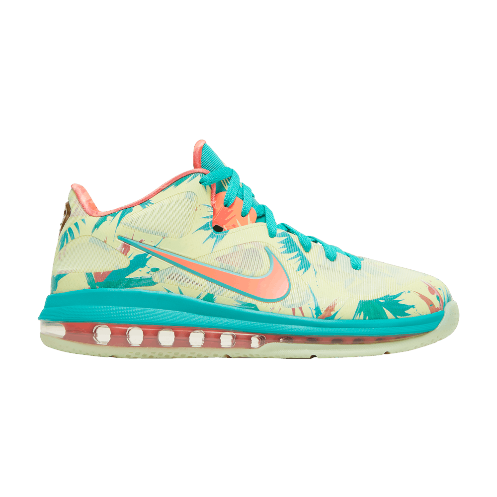 Nike lebron on sale 9 Schoenen