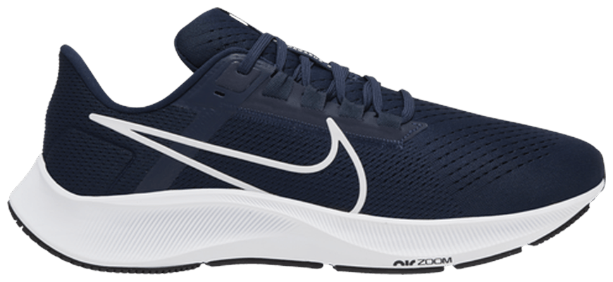 pegasus 38 custom