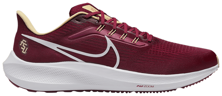Nike Air Zoom Pegasus 39 Florida State