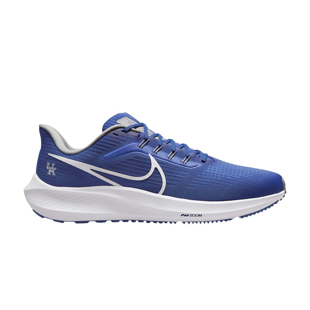 Nike Air Zoom Pegasus 39 'Kentucky' | Blue | Men's Size 13 - DR1963-400