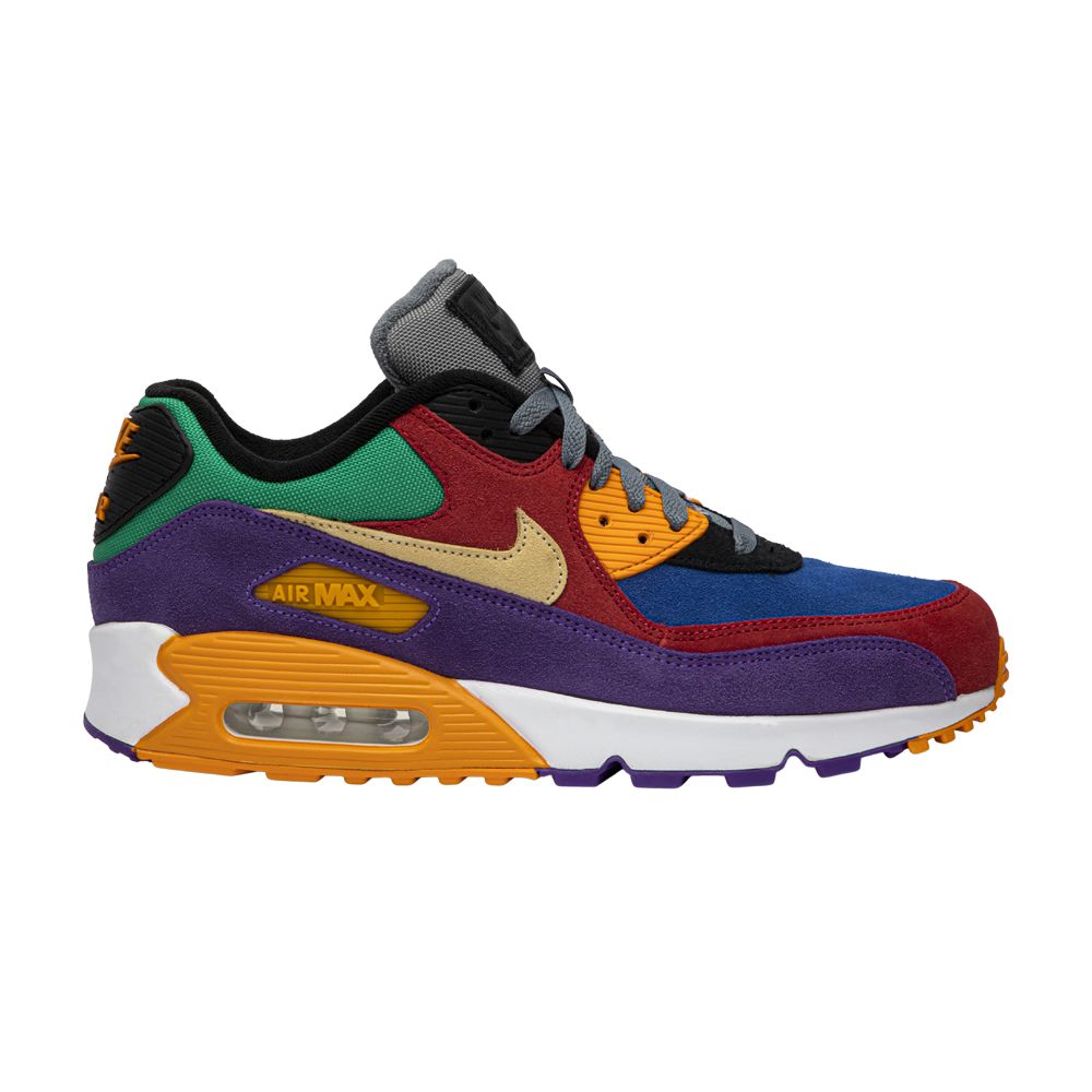 Nike Air Max 90 'Viotech' | Multi-Color | Men's Size 5.5