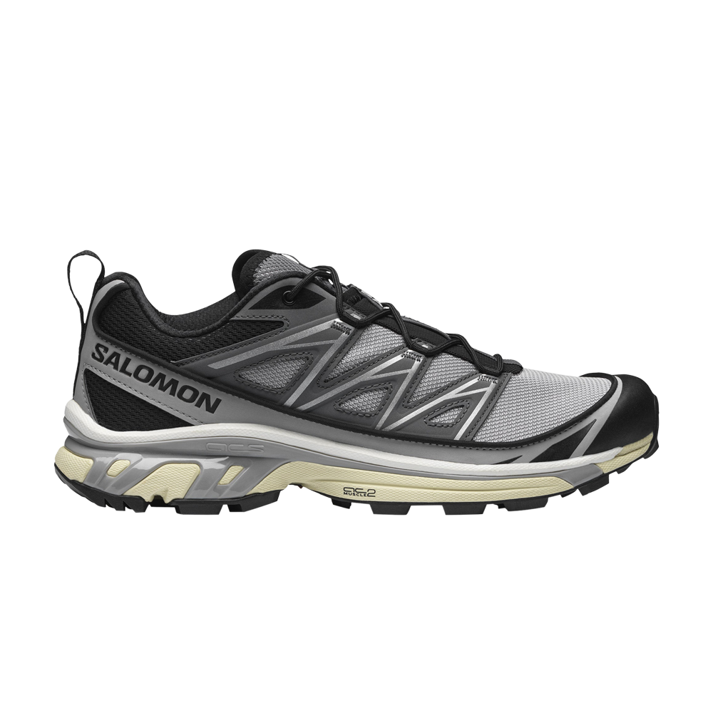 Pre-owned Salomon Xt-6 Expanse 'alloy Quiet Shade' In Grey