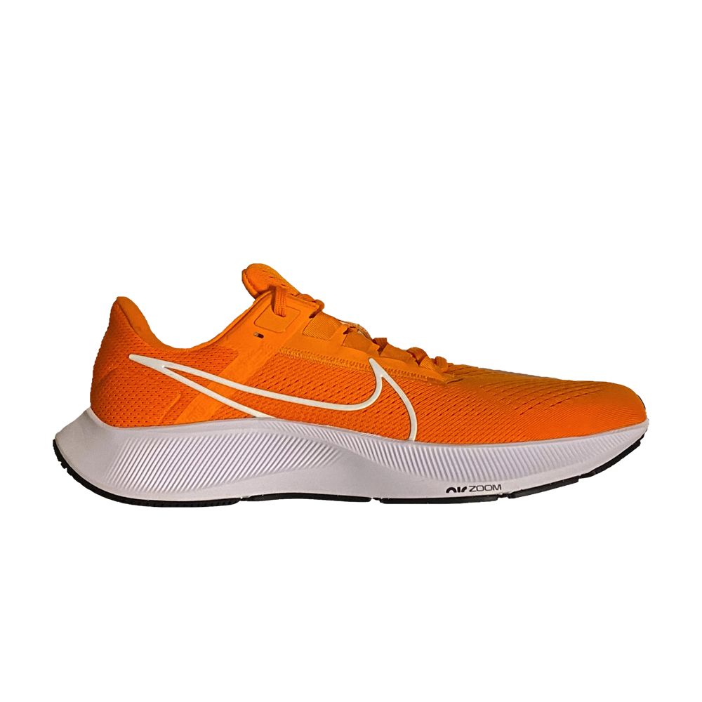 Air Zoom Pegasus 38 TB 'Bright Ceramic' - CZ1893-800