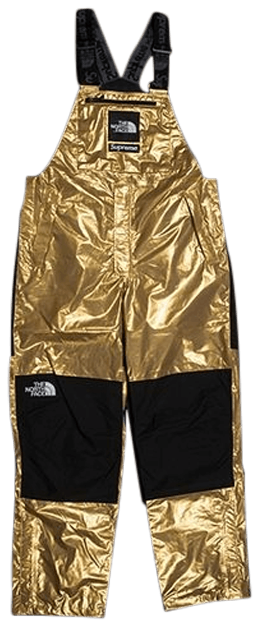 Supreme north face store bib pants