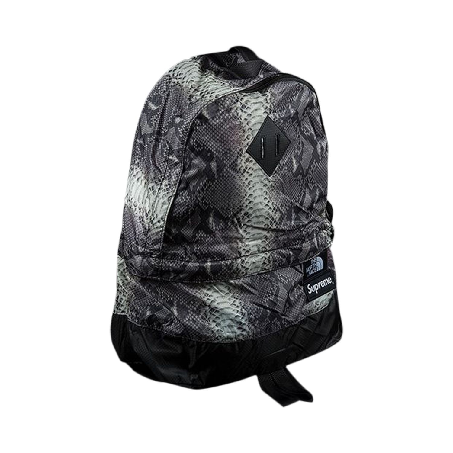 Supreme x The North Face Snakeskin Light Weight Day Pack 'Black'