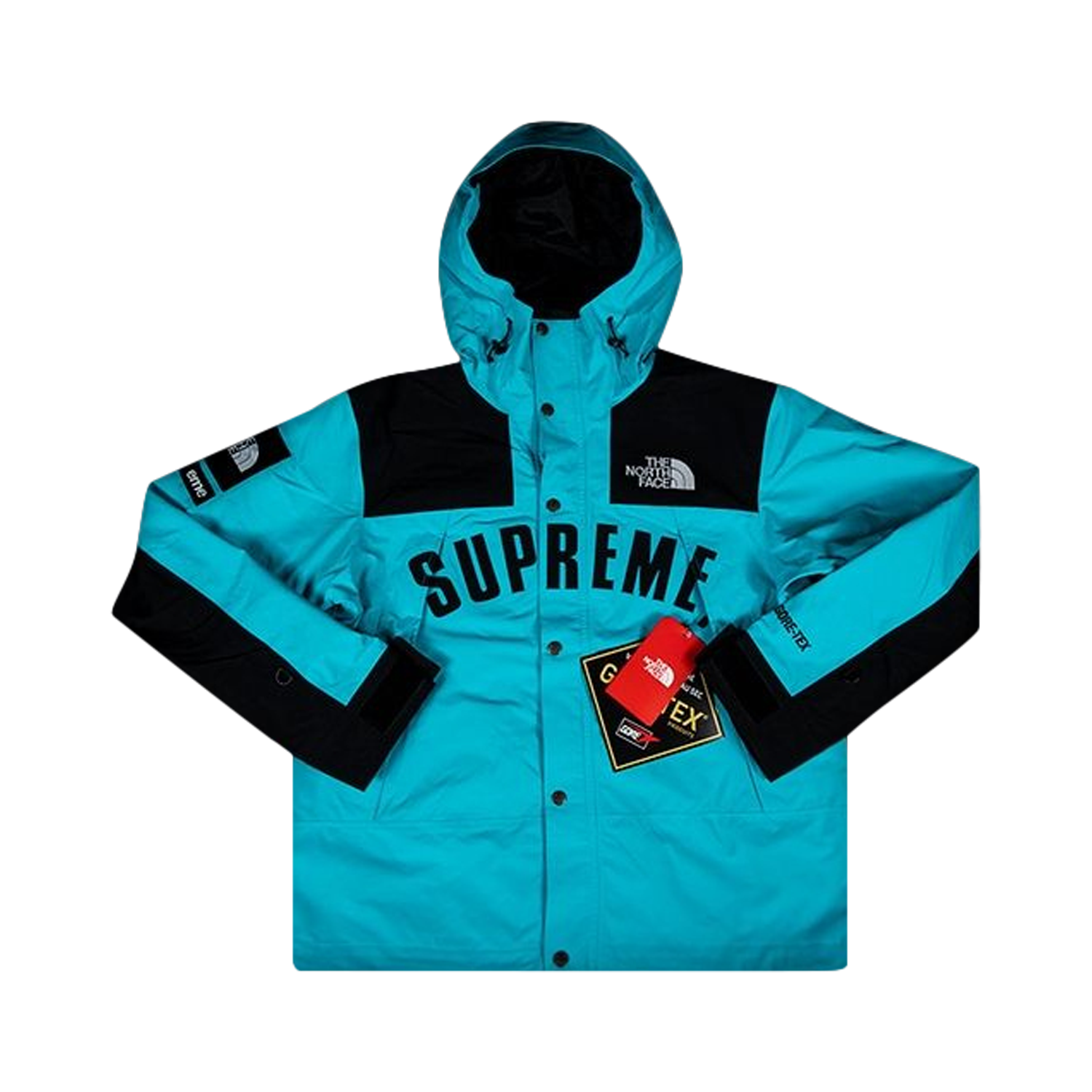 Buy Supreme x The North Face Arc Logo Mountain Parka 'Teal