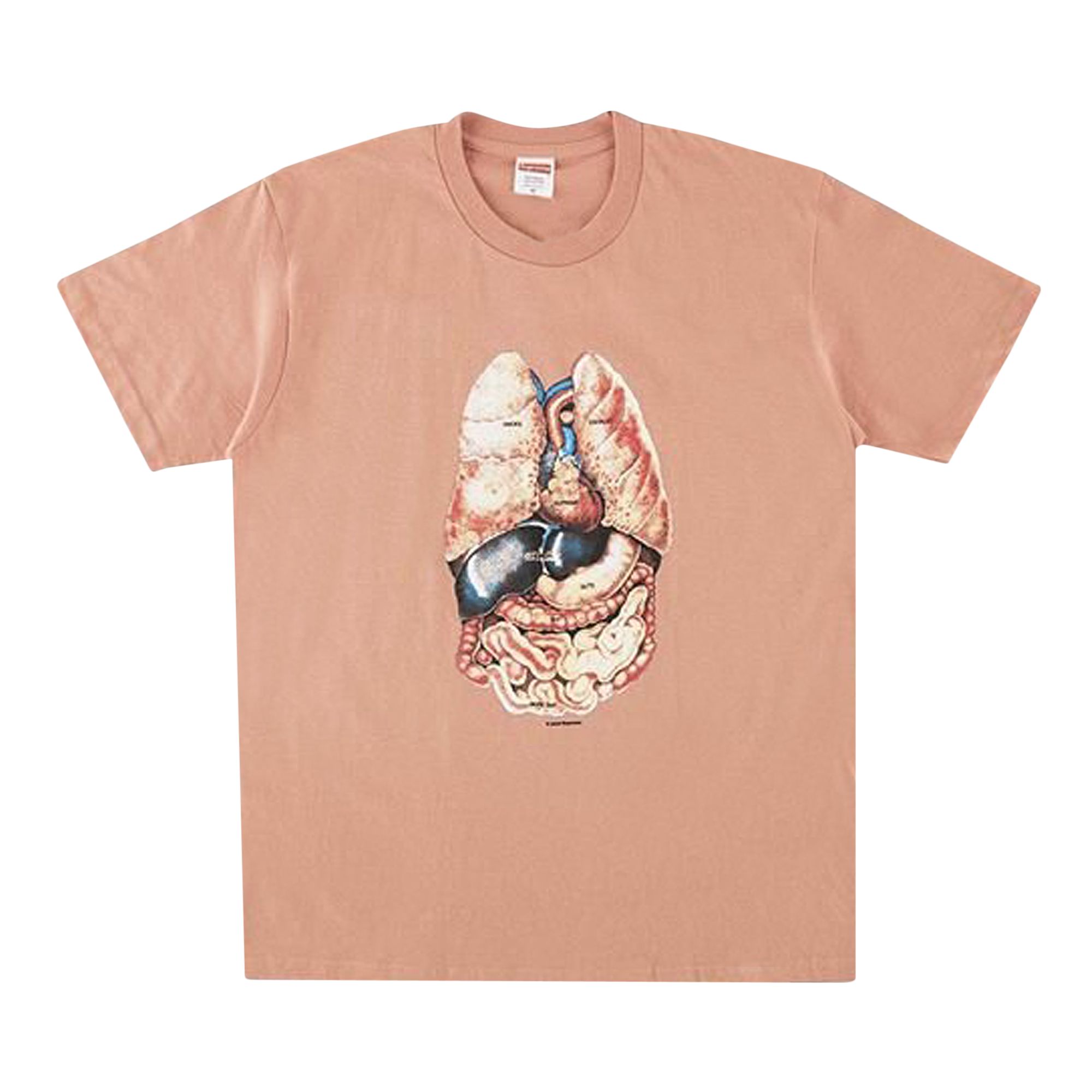 Pre-owned Supreme Guts Tee 'terra Cotta' | Orange | Men's Size M