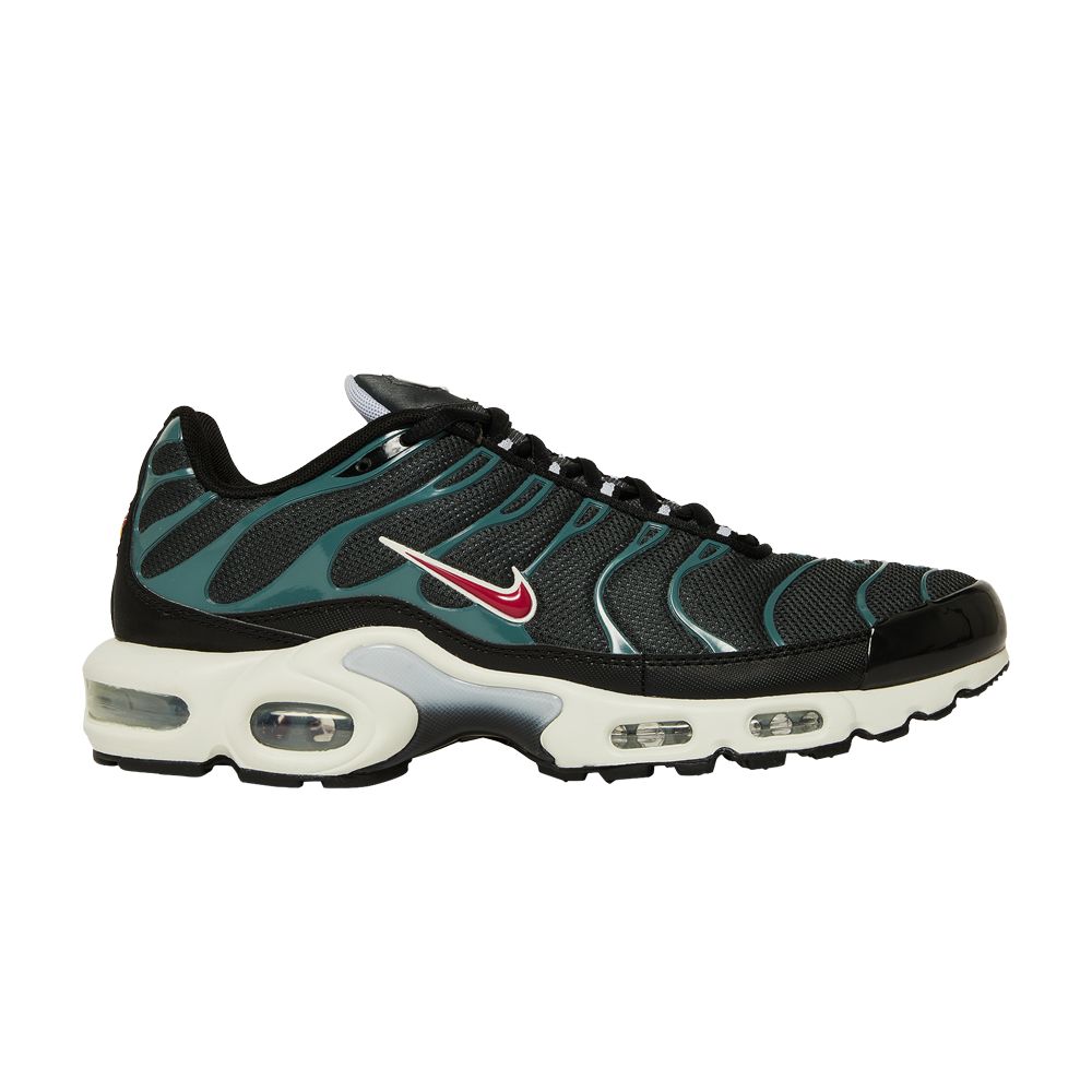 Nike Air Max Plus 'Anthracite Hasta' | Black | Men's Size 12
