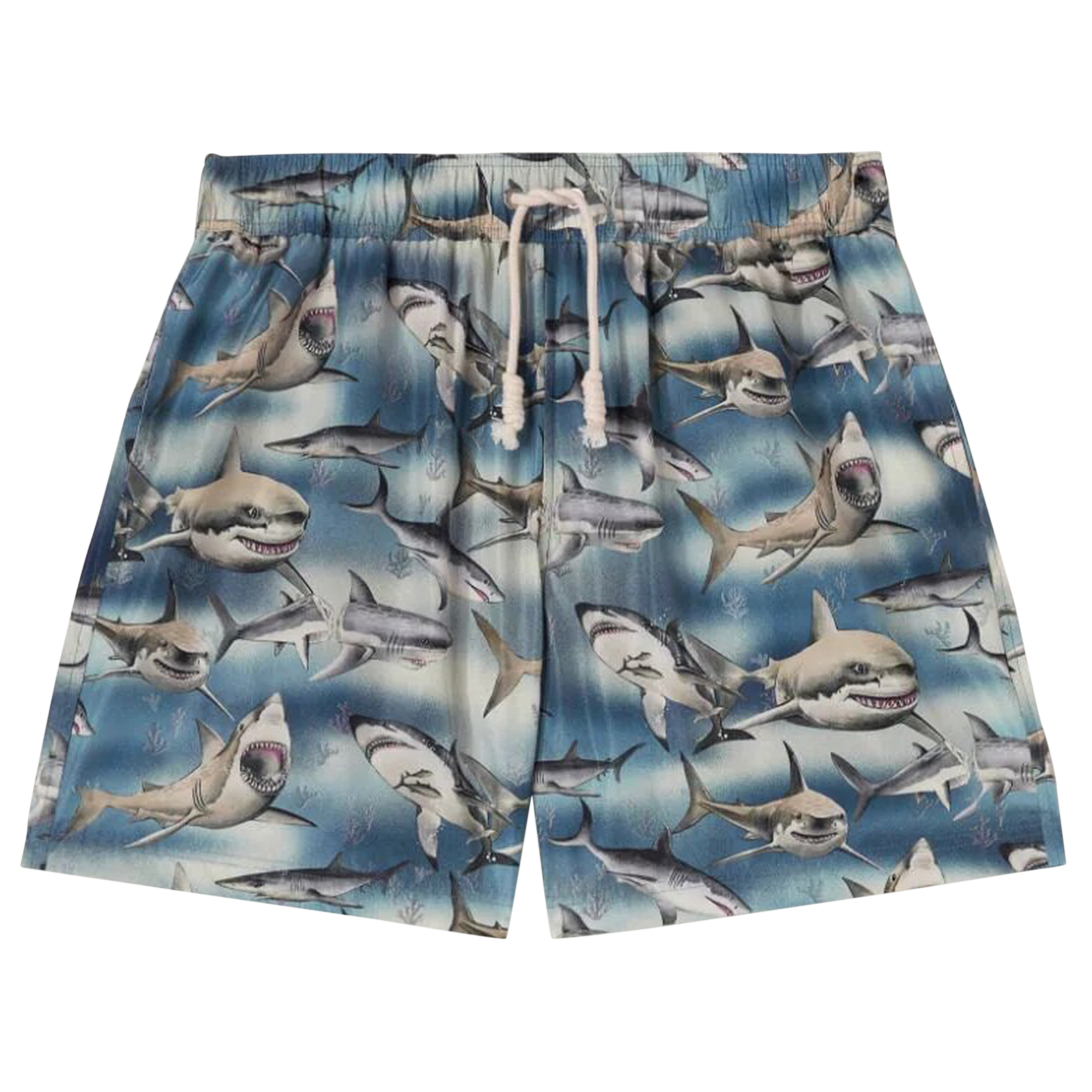 Pre-owned Palm Angels Sharks Swimshorts 'blue'