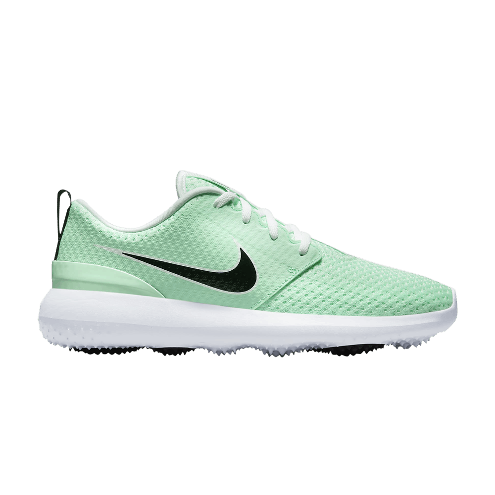 roshe run mint green