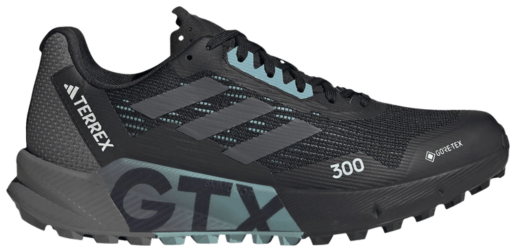 Wmns Terrex Agravic Flow 2.0 GORE-TEX 'Black Light Blue'