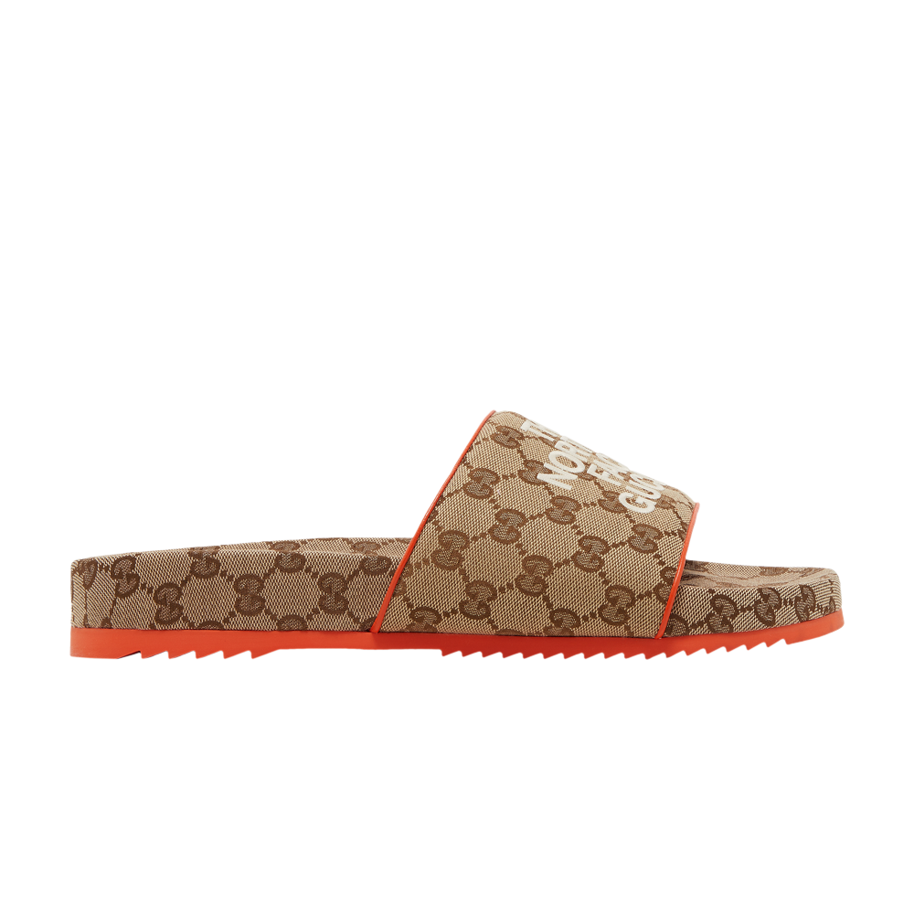 Pre-owned Gucci The North Face X  Slide 'beige Orange' In Brown