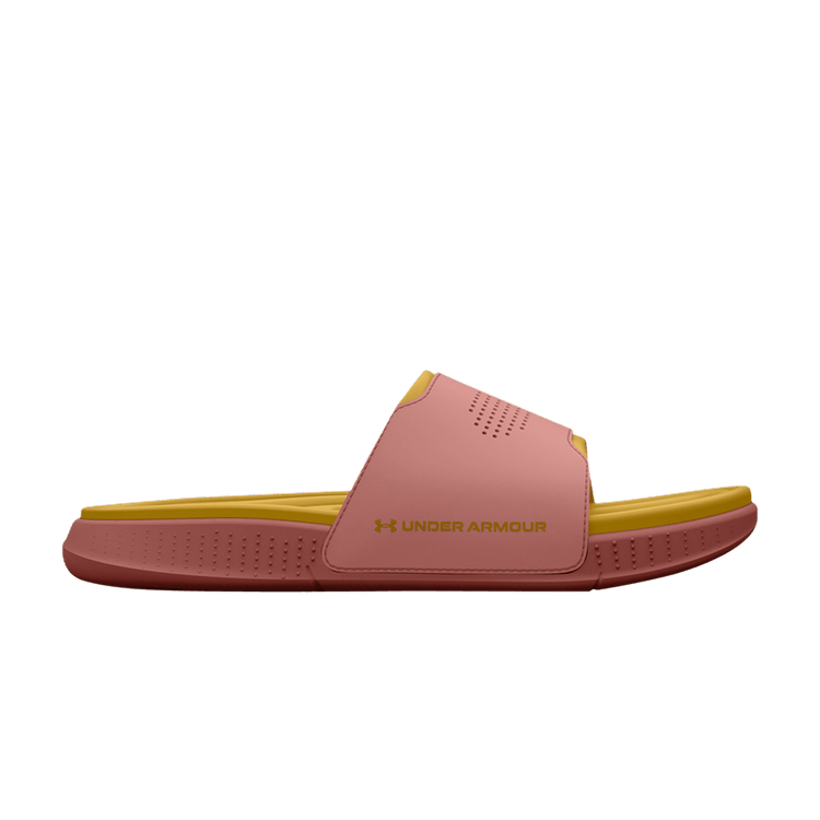ansa elevate slides
