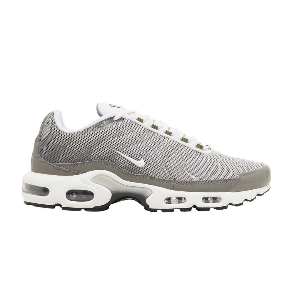Pre-owned Nike Air Max Plus Se 'flat Pewter' In Grey