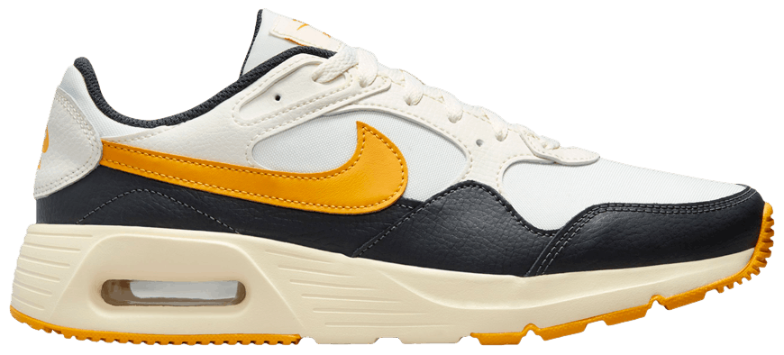 sail university gold black