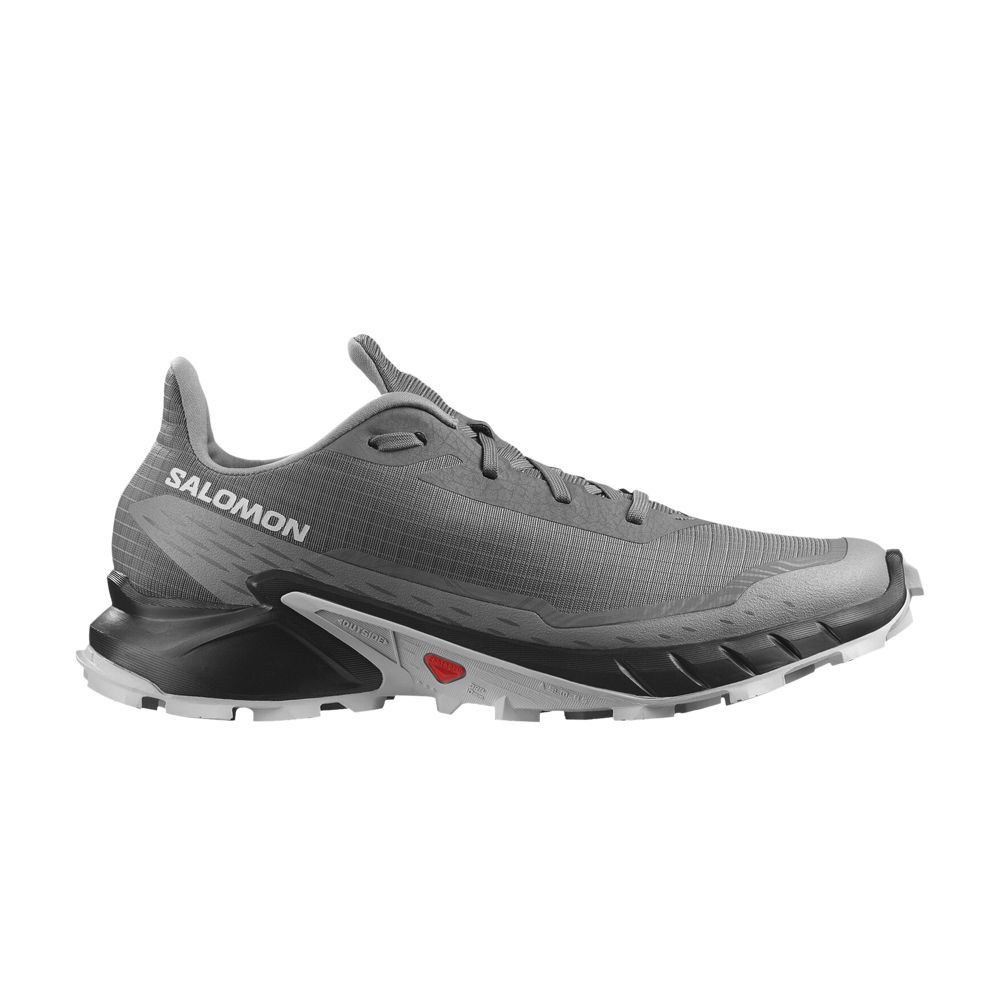 Salomon Alphacross 5 'Pewter Black' | Grey | Men's Size 12.5
