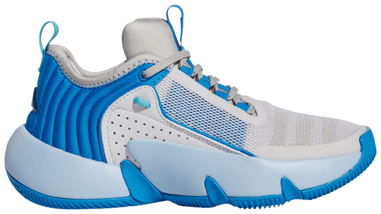 Adidas Trae Unlimited Big Kid Dash Grey Bright Blue