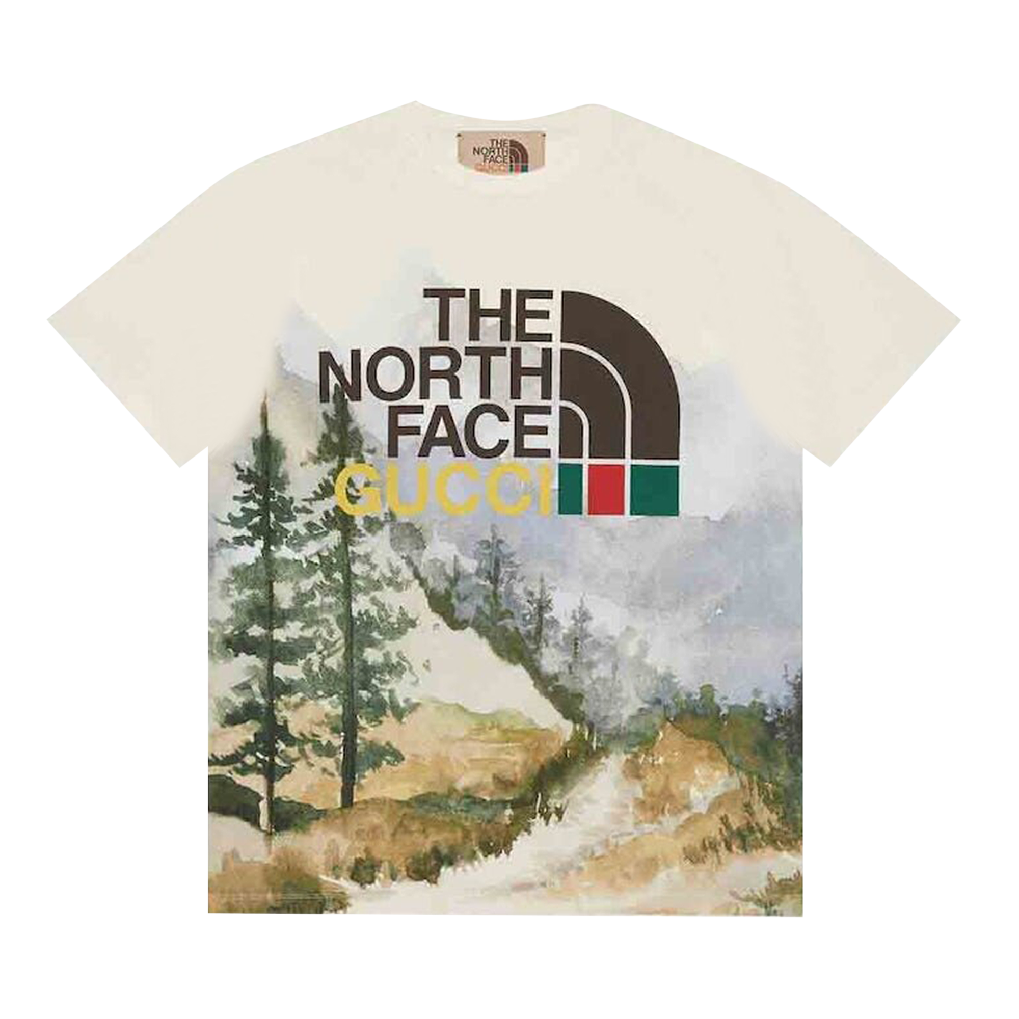 Pre-owned Gucci X The North Face T-shirt 'trail Print' In Multi-color