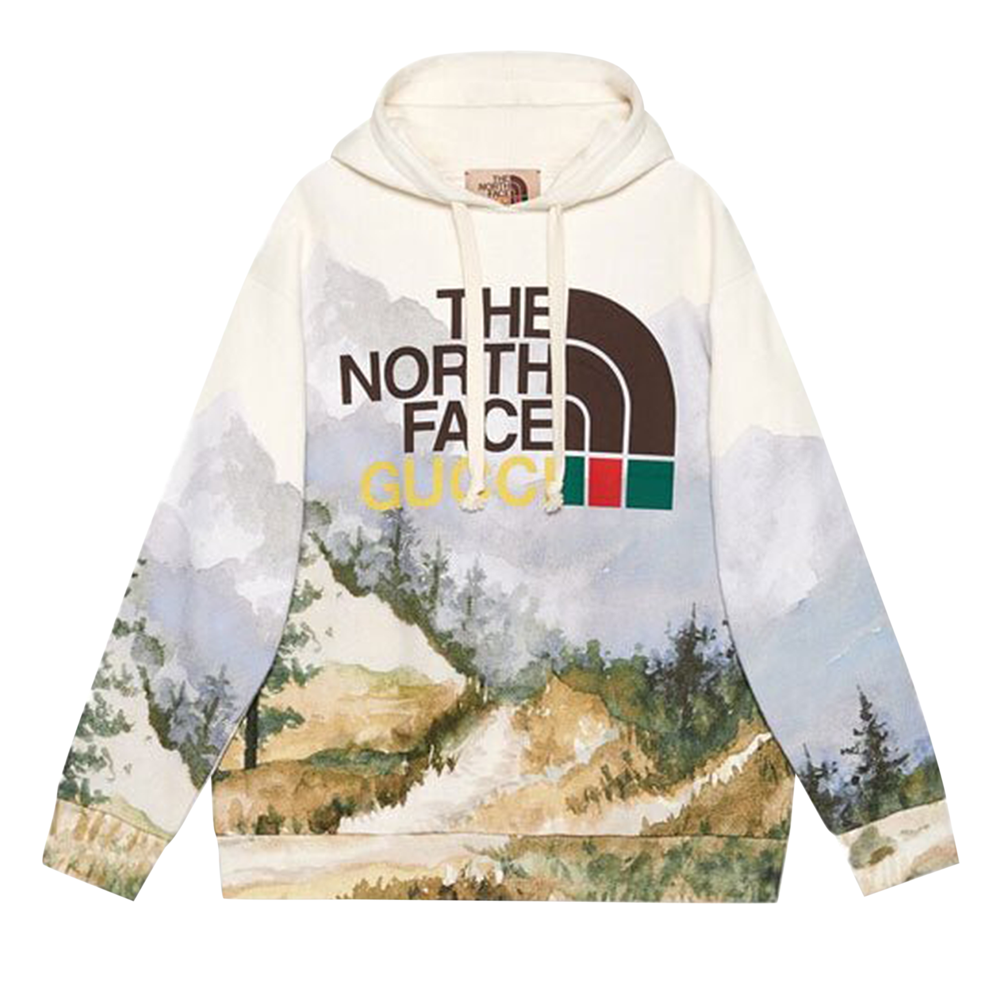 Pre-owned Gucci X The North Face Sweatshirt 'trail Print' In Multi-color