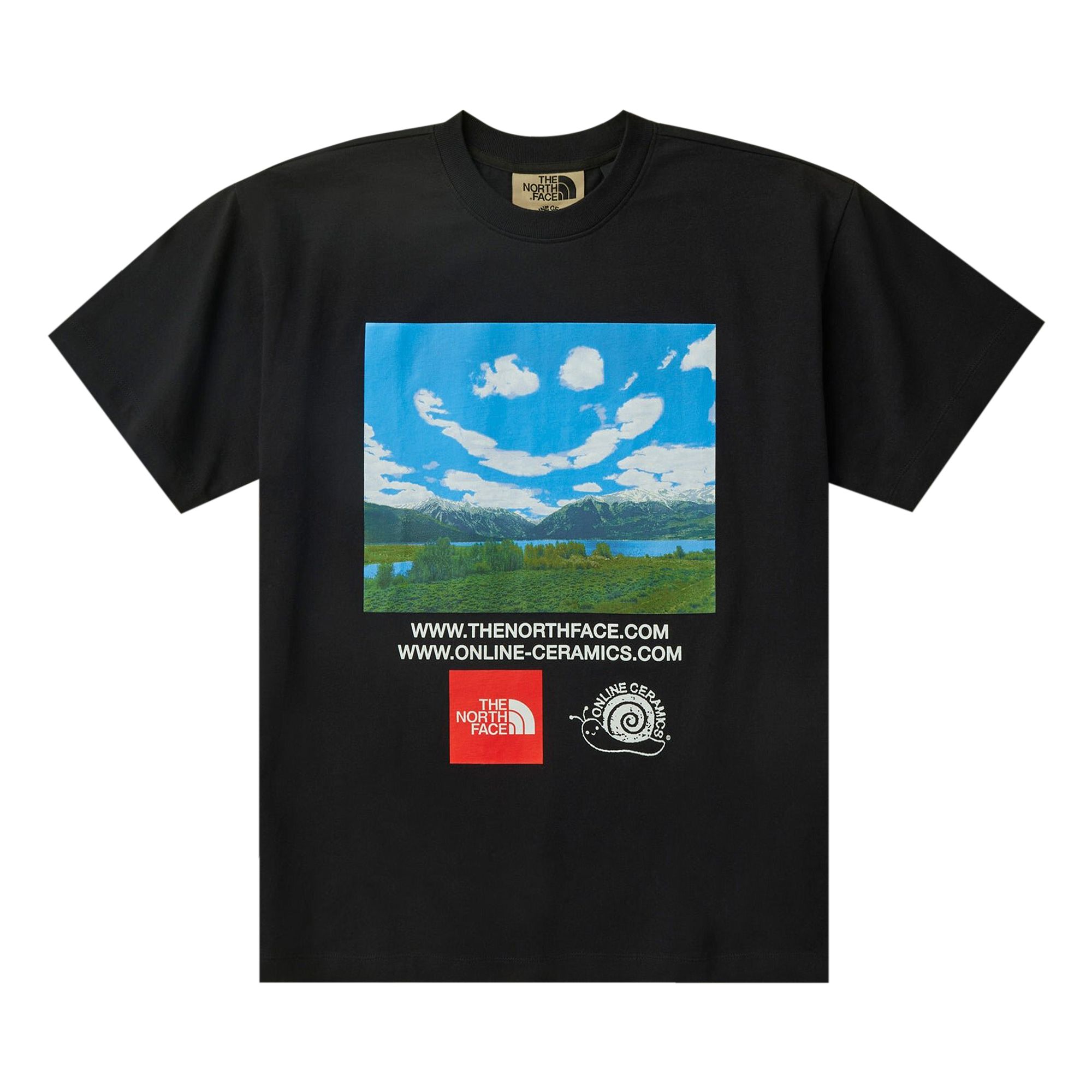 Pre-owned The North Face X Online Ceramics Short-sleeve Tee 'black'