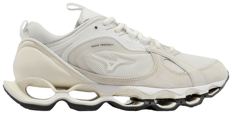 Mizuno wave prophecy 5 birch best sale