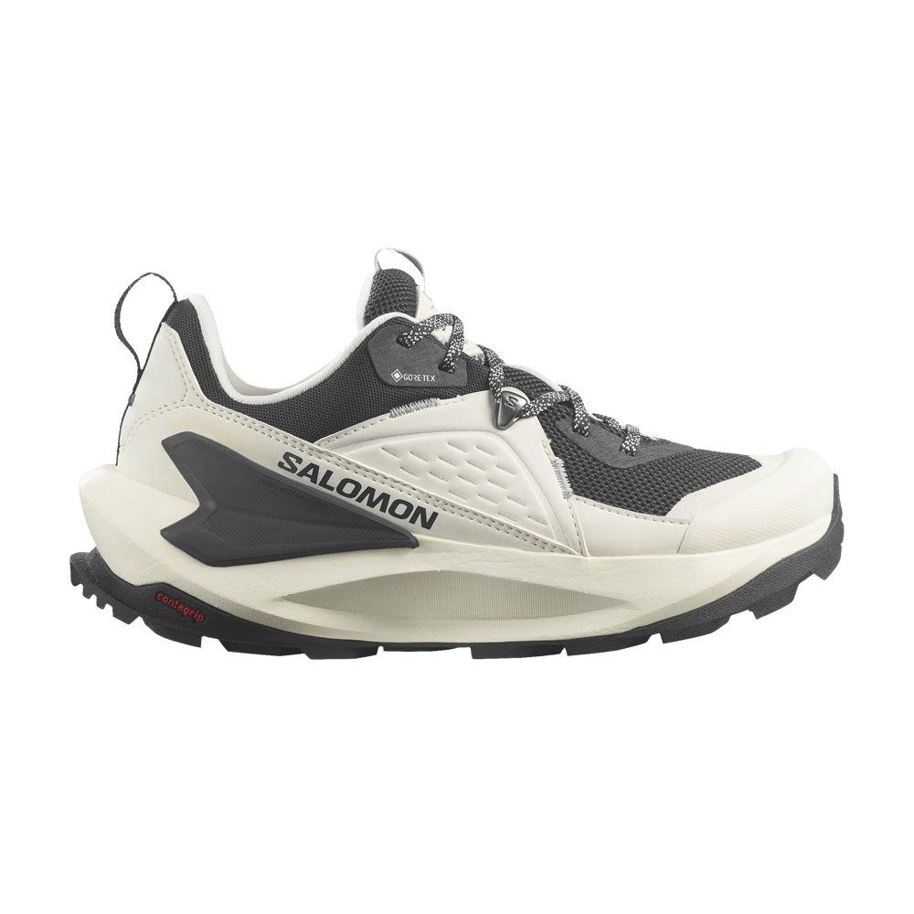 Wmns Elixir GORE-TEX 'Vanilla Ice Metal' - L47296700