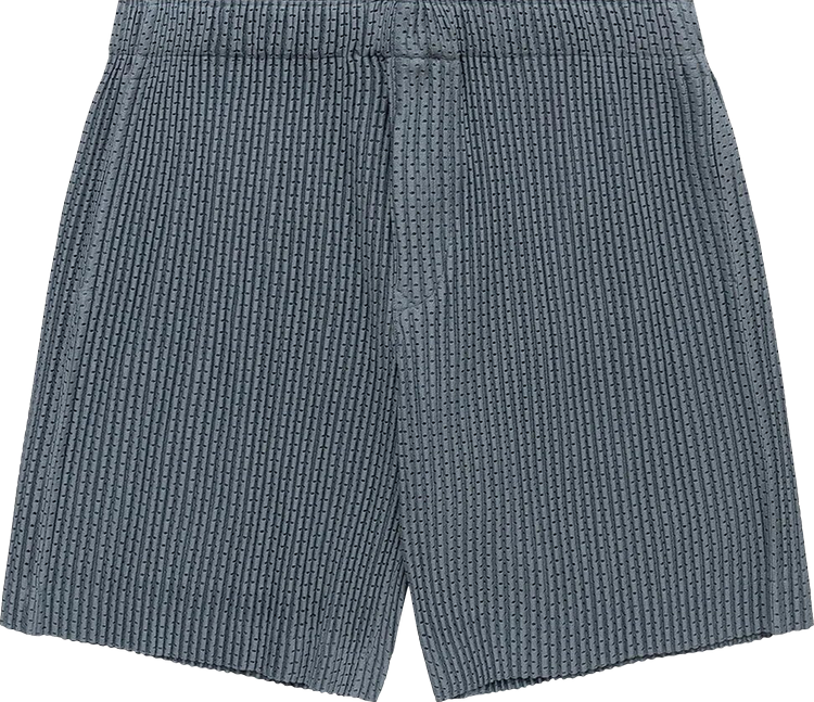 Buy Homme Plissé Issey Miyake Outer Mesh Shorts 'Grey' - HP36JF134 GREY ...