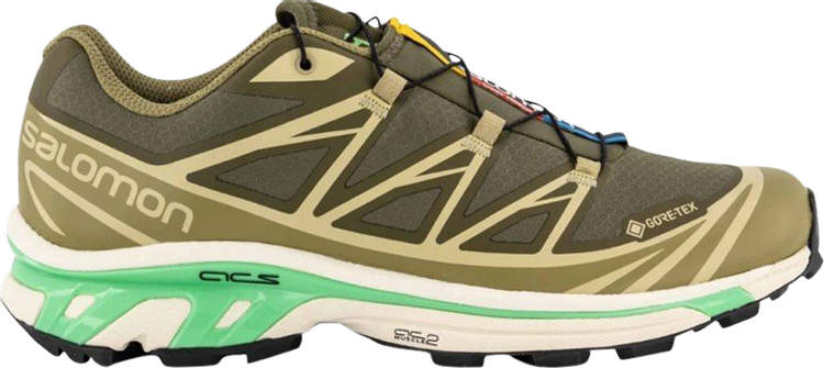 XT 6 GORE TEX Olive Night Dried Herb