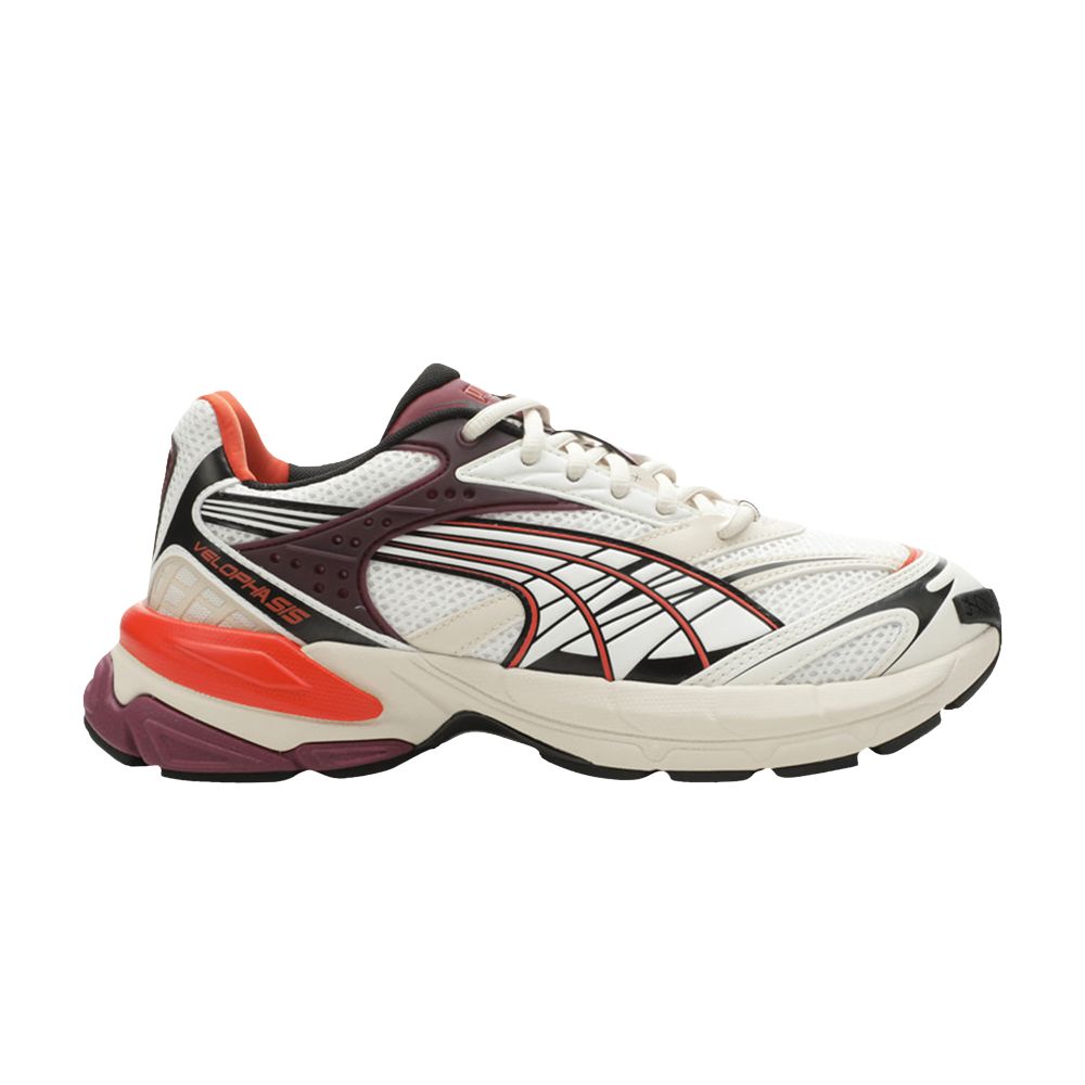 Velophasis 'Technisch - Warm White Fall Foliage' - 390932-10