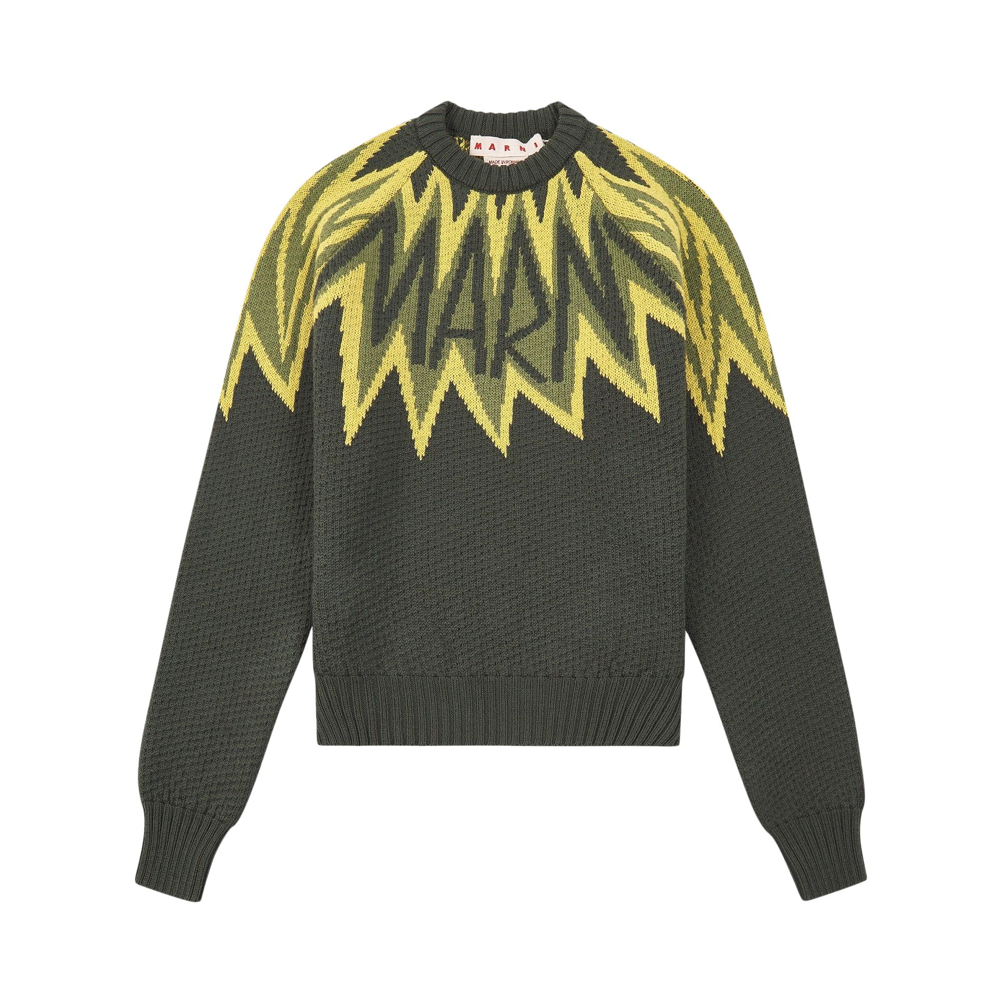 Marni Fire Island Logo Roundneck Sweater 'Leaf Green' | Men's Size 48
