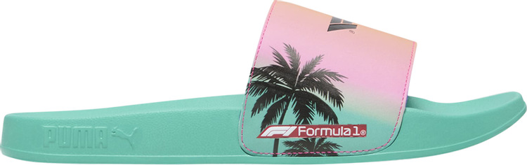 Formula 1 x Leadcat 2.0 Slides 'Miami Grand Prix'