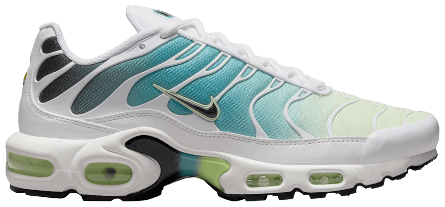 dusty cactus air max plus