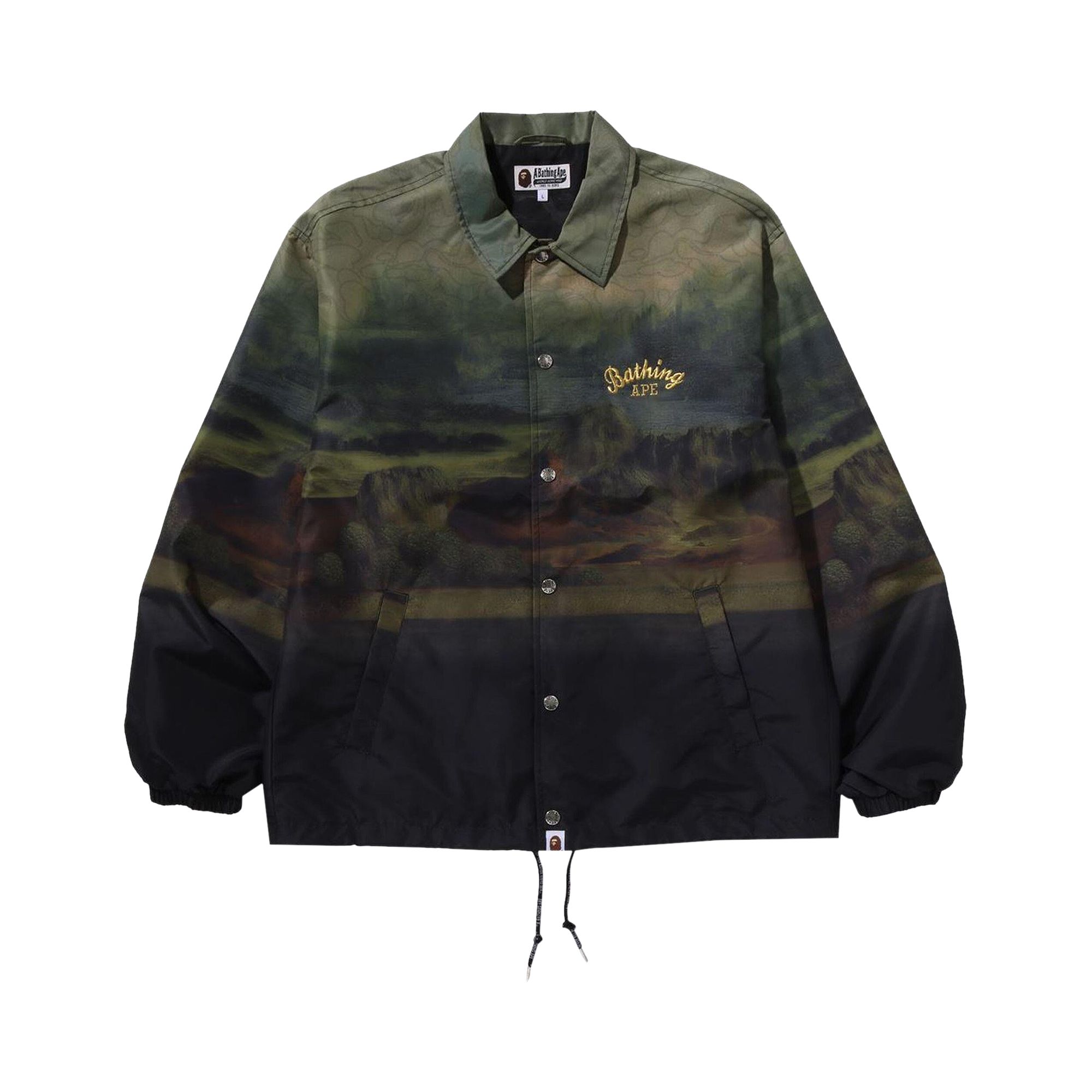 Pre-owned Bape Art Print Coach Jacket 'multicolor' | Multi-color | Men's Size L