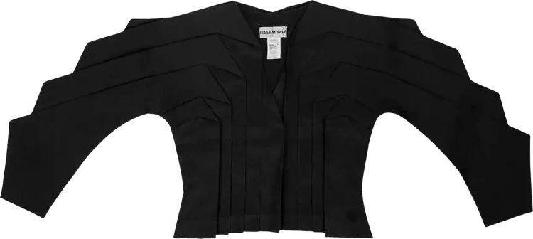 Issey Miyake Dinosaur Architectural Pleated Linen Jacket 'Black'