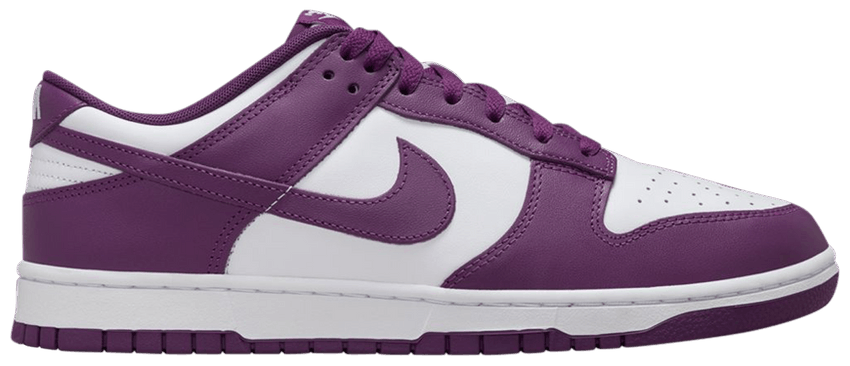 viotech dunks on feet