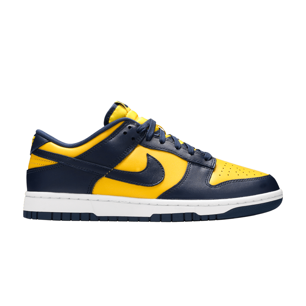 michigan jordan shoes 2021