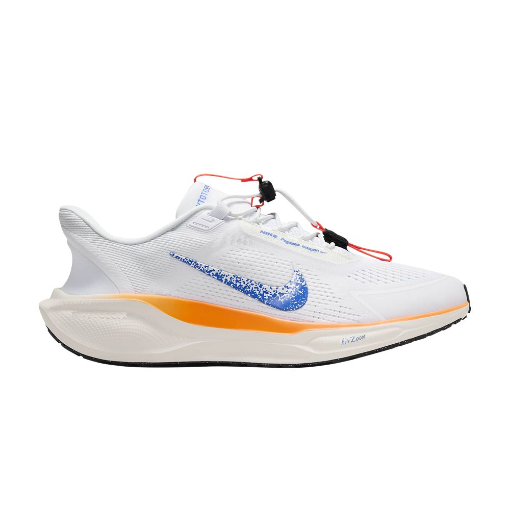 NIKE AIR ZOOM PEGASUS 41 EASYON 'BLUEPRINT PACK'