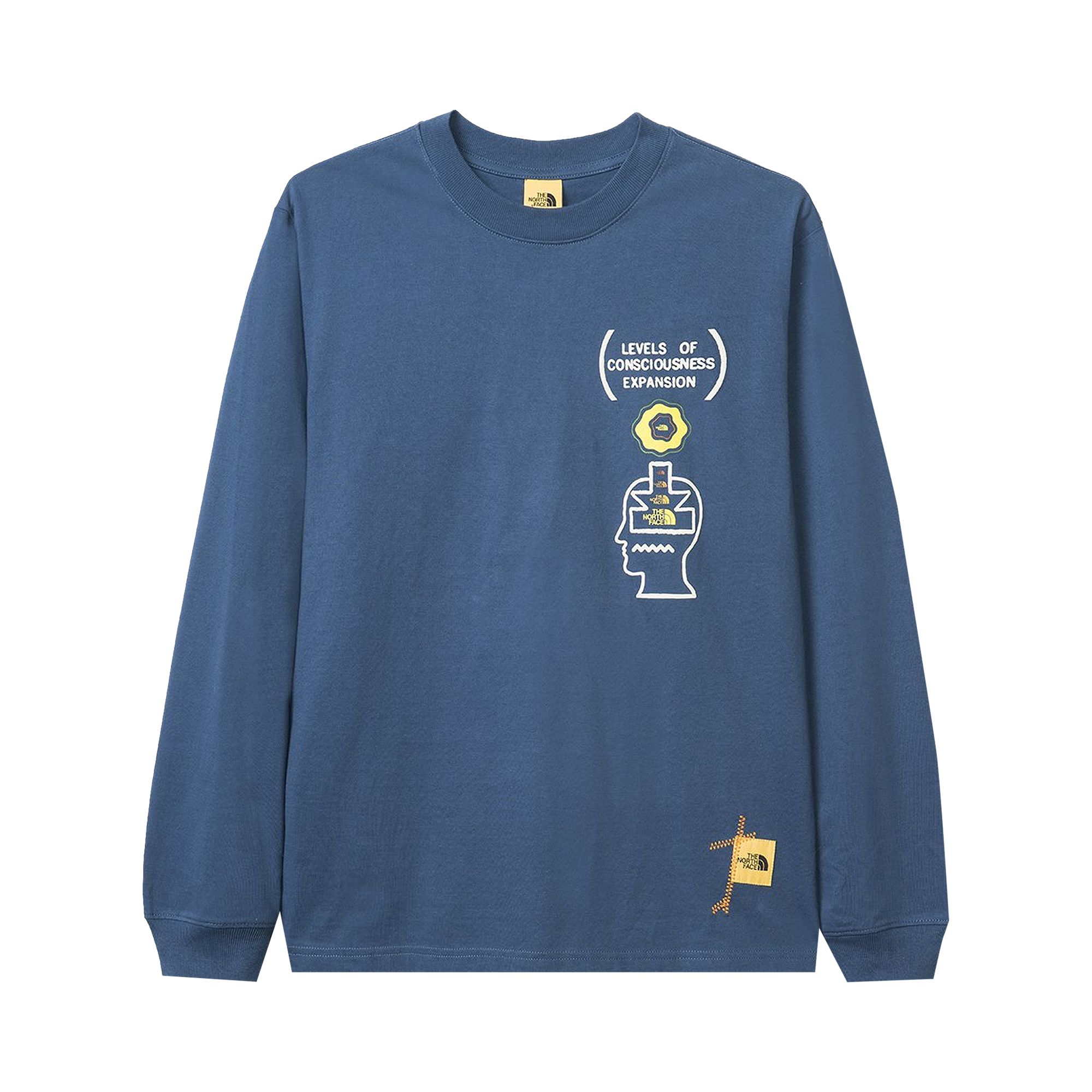 Pre-owned Brain Dead X The North Face Long-sleeve Tee 'shady Blue' | Men's Size Xs