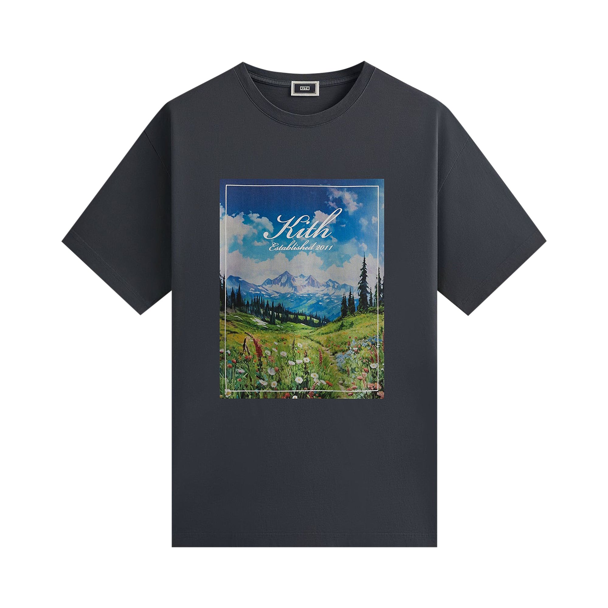 Kith Landscape Vintage Tee 'Torpedo' | Grey | Men's Size M