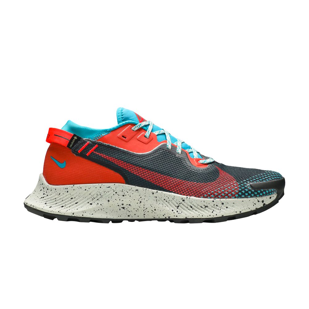 Nike Pegasus Trail 2 GTX...