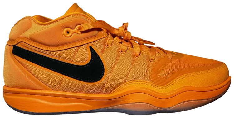 Nike zoom rev tb promo outlet