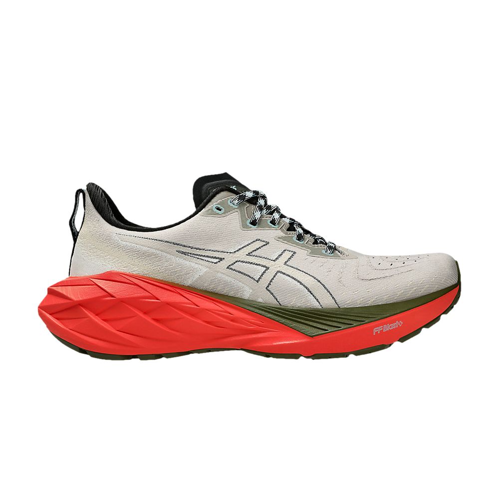 ASICS Novablast 4 TR 'Nature Bathing - Red Snapper' | Grey | Men's Size 6