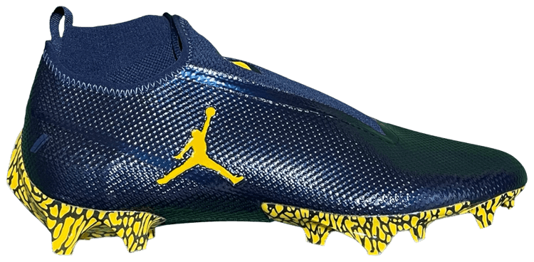 Air Jordan Vapor Edge Pro 360 SMU Wide Michigan Wolverines PE