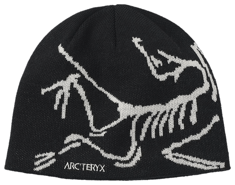 スキー・スノーボードアクセサリー ARC'TERYX BIRD HEAD TOQUE