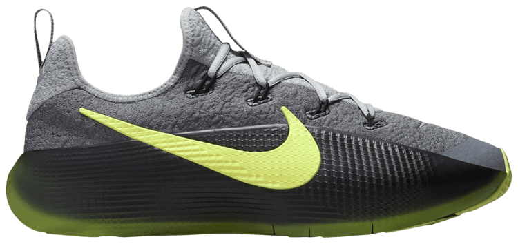 Nike LeBron TR 1 Dunkman