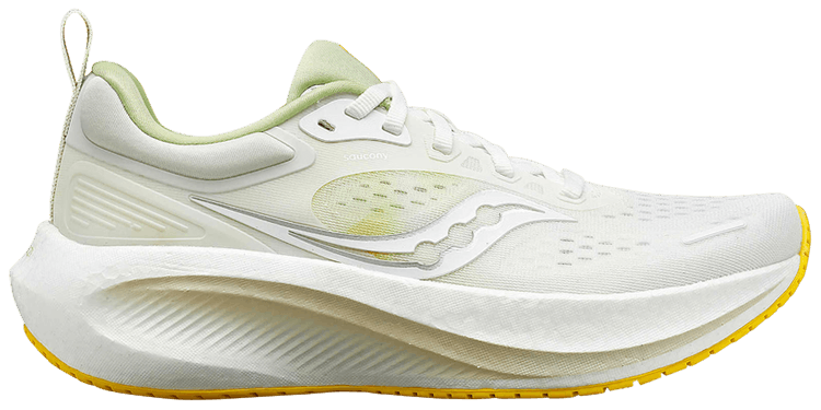 Saucony Wmns Surge 3 White Fern