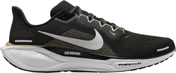 Air Zoom Pegasus 41 Colorado