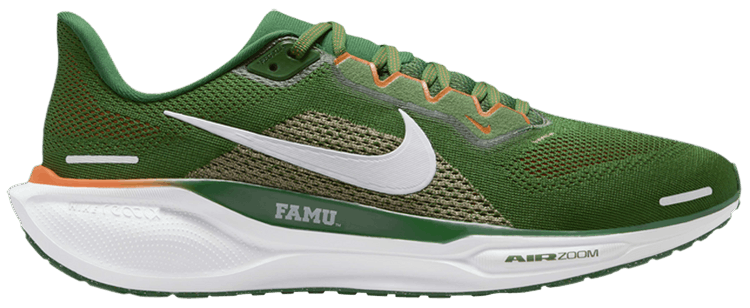 Nike Air Zoom Pegasus 41 Florida AM University