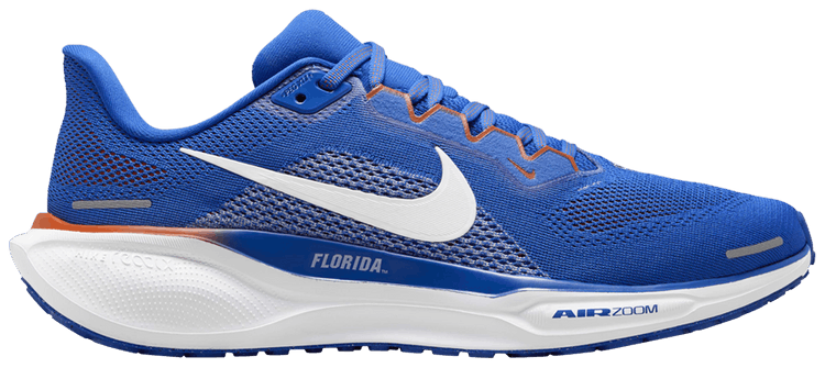 Nike Air Zoom Pegasus 41 Florida